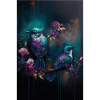 Oiseaux