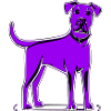Hund
