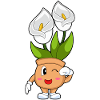 Flowerpot Calla-Lily Flowers