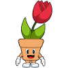Flowerpot Tulip Flowers