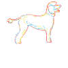 Caniche Pudel