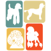 Poodle Retro Dogs