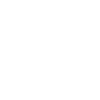 Poodle Dog Dogs