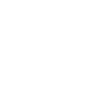 Poodle with sunglasses