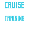 Cruise Director