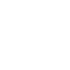 Cruise Director