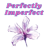 Perfectly Imperfect