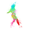 Splash Art rollerblade inline skating
