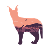 Caracal