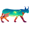 Caracal