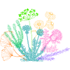 Bouquet of herbs