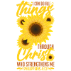 Inspirational Christianity Sunflowers Philippians