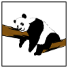 Panda ohne Hintergrund