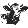 Cow silhouette