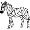 The zebra