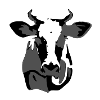 Cow's head