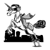 Das maskierte Einhorn