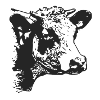 The cow's head