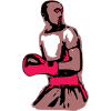 Ako Le boxeur