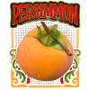 Persimmon, persimmon fruit, illustration