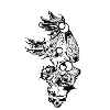 Owl // Illustration // Skull // Rose