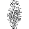 Spine // Chest // Skeleton