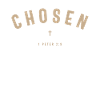 Chosen 1 Peter 2:9