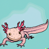 Axolotl rieur en aquarelle
