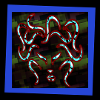 Fighting Face - Art Image