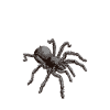 Tarantula