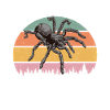 Tarantula