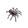 Tarantula