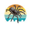 Tarantula