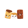 Marshmallow S'more