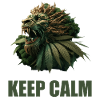 Keep Calm Lion plant cannabis