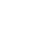Irish Setter "Black Edition"