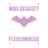 Fledermaus Fledermäuse Bat Bats Fledertier