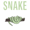 Snake Gift Snake Lover