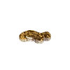 Snake Gift Snake Lover