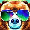 Ours cool avec lunettes d’aviateur