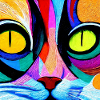 Colourful cat close up, abstract