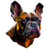 French Bulldog Frenchie Französische Bulldogge