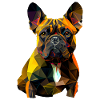 French Bulldog Frenchie Französische Bulldogge