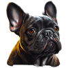 French Bulldog Frenchie Französische Bulldogge