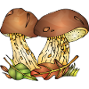Pilze