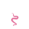 Snake Gift Snake Lover