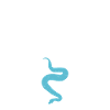 Snake Gift Snake Lover