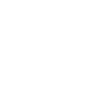 Bicycle White