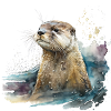 Otter