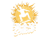 Skate & Shine - Patinage